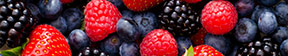 A to Z of Fruit Main Menu Header Image of Mixed Berries